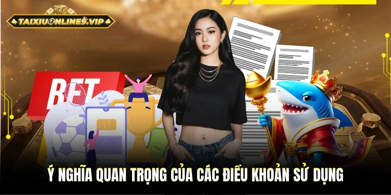 Ý nghĩa đặc biệt trong quy định các điều khoản sử dụng