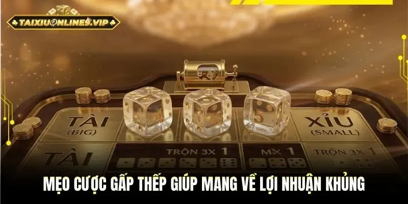 Mẹo cược gấp thếp giúp mang về lợi nhuận khủng